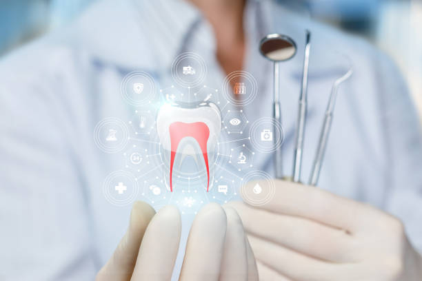 Highlands Ranch, CO Holistic Dental Care Services Company